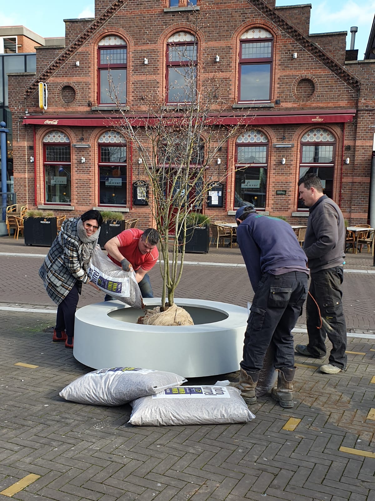 Wethouder Heesakkers helpt mee met het beplanten van een plantenbak op het Raadhuisplein in Reuver.