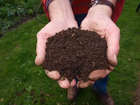 Hoopje compost in twee handen vastgehouden