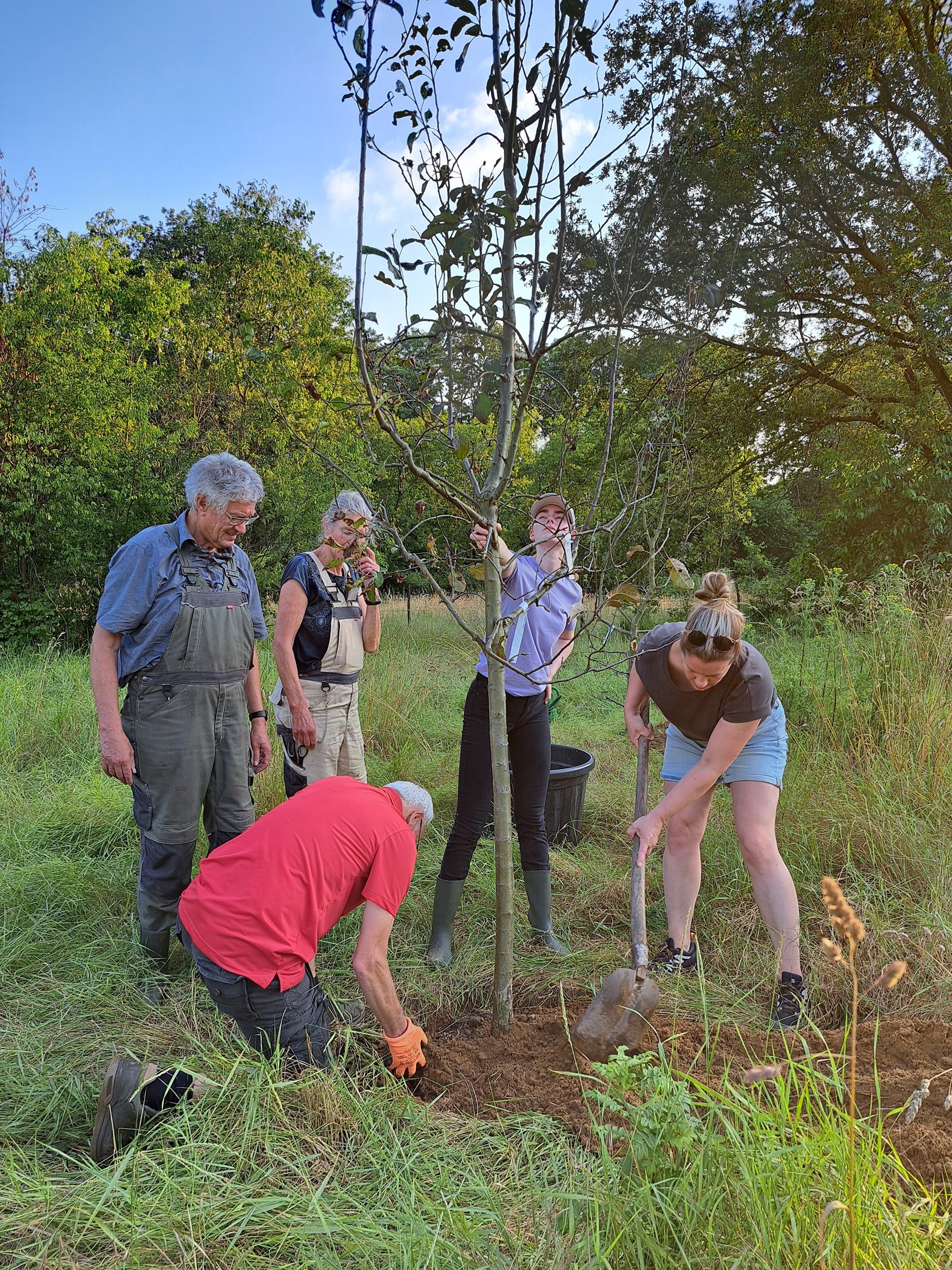 Gratis fruitbomen worden geplant in het Voedselbos Beesel