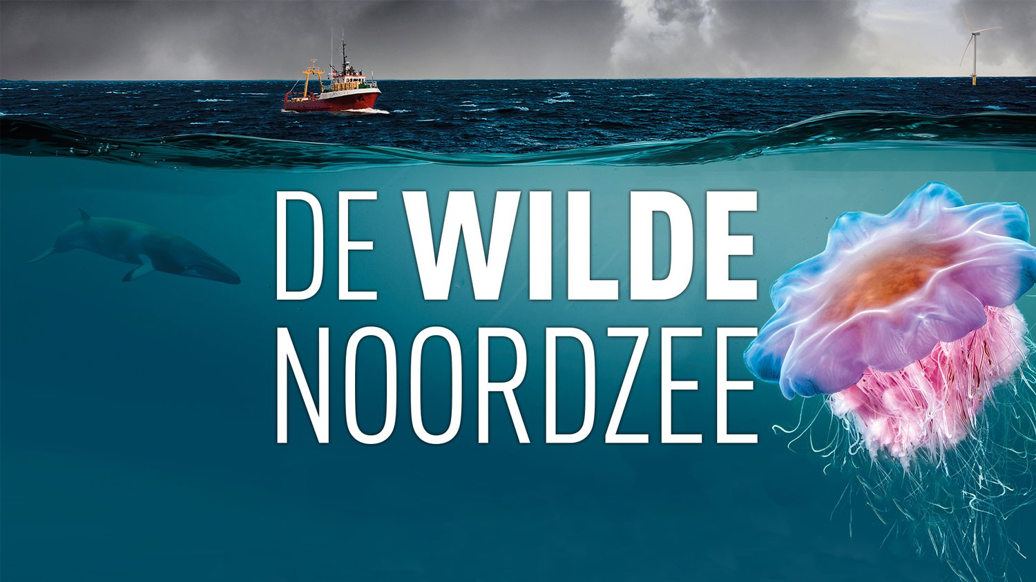 Titelpagina van de film "De Wilde Noordzee"